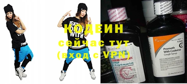 хмурый Арсеньев