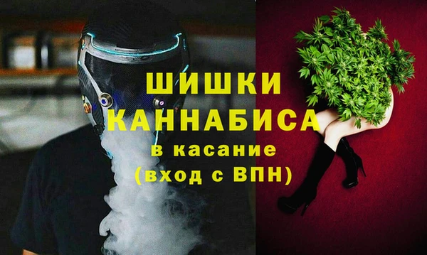 ГАЛЛЮЦИНОГЕННЫЕ ГРИБЫ Аркадак