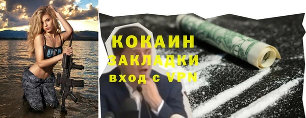 хмурый Арсеньев