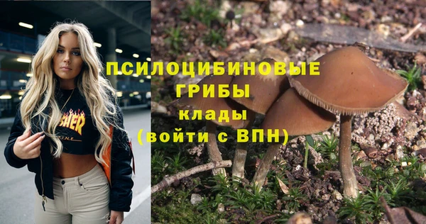 прущий лед Россошь