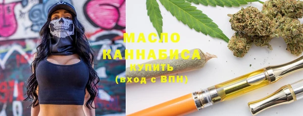 хмурый Арсеньев
